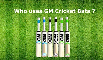 Who uses GM Cricket Bat ?